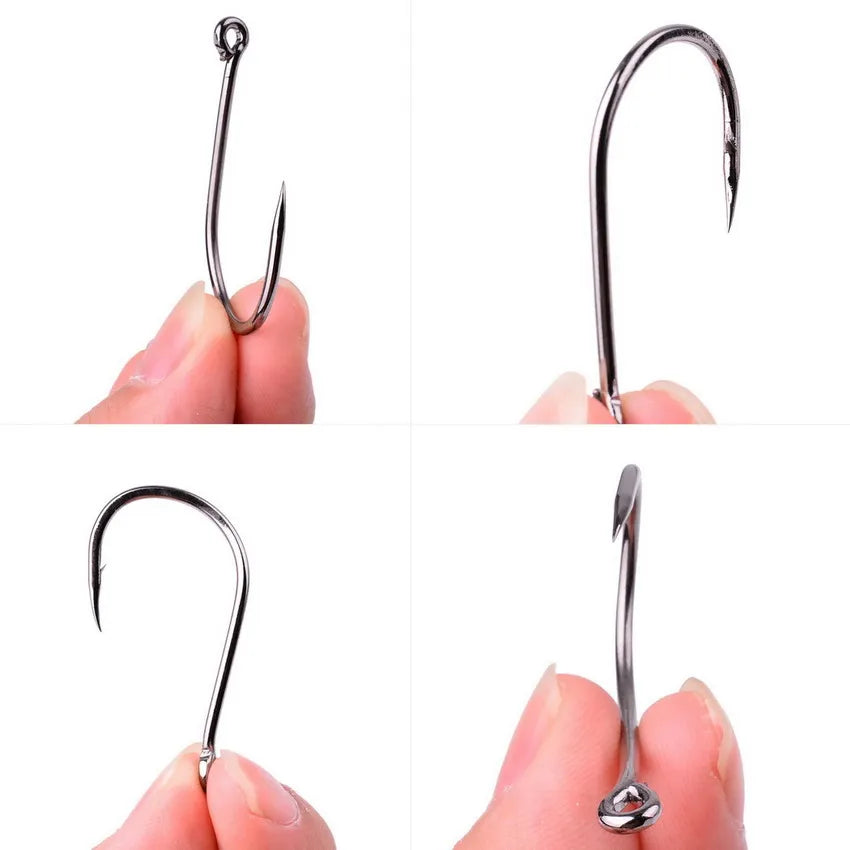 Box Circle Carp Eyed Fishing Hook