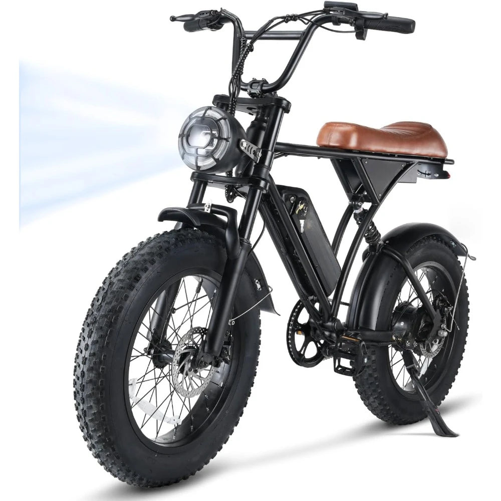 Electric Bike for Adults 750W Motor