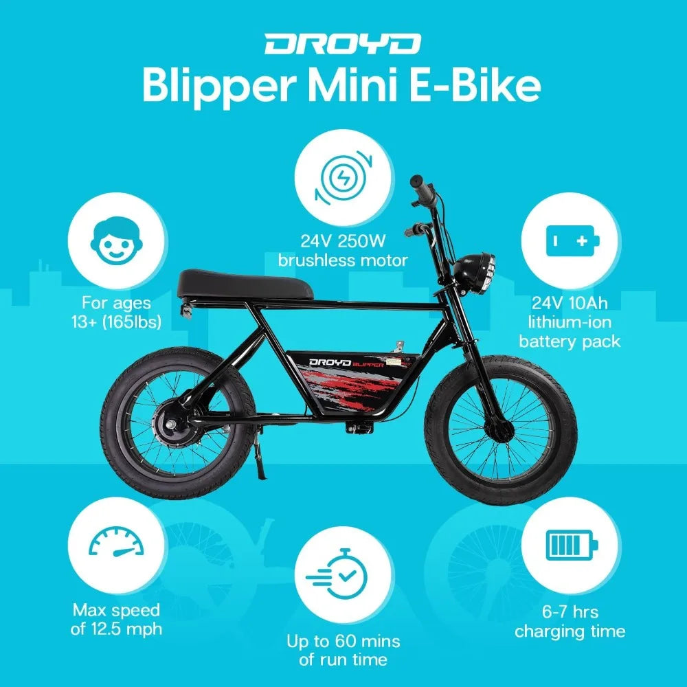 Electric Mini Bike - 250W