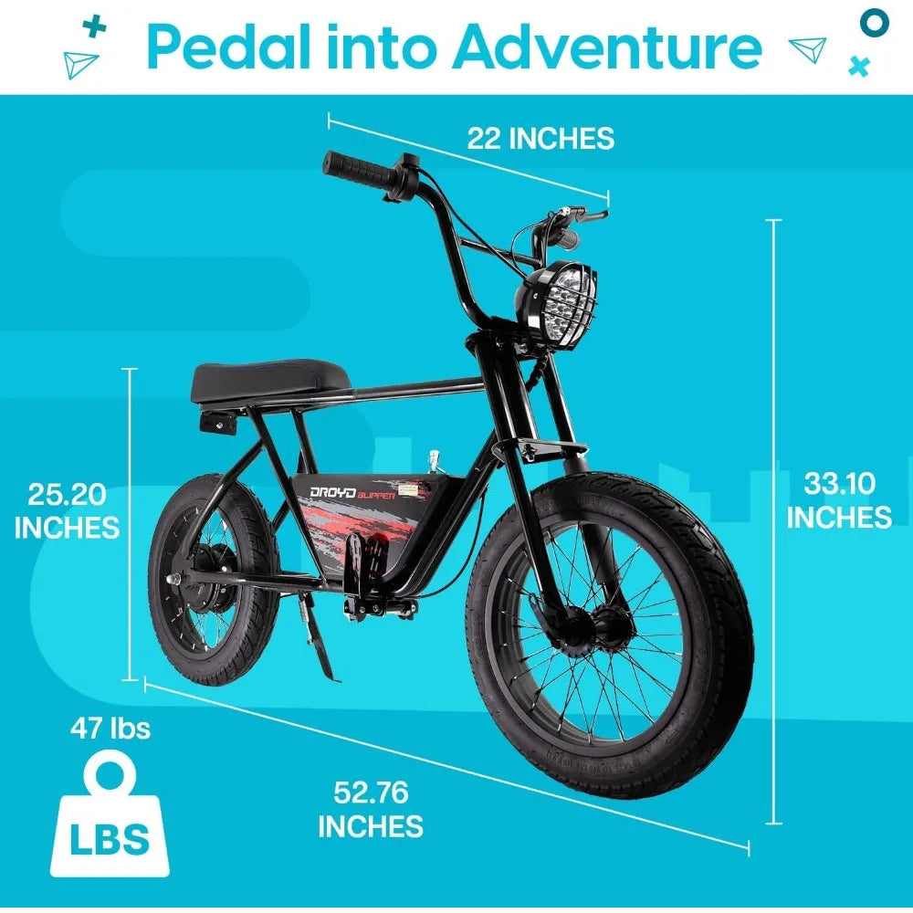 Electric Mini Bike - 250W