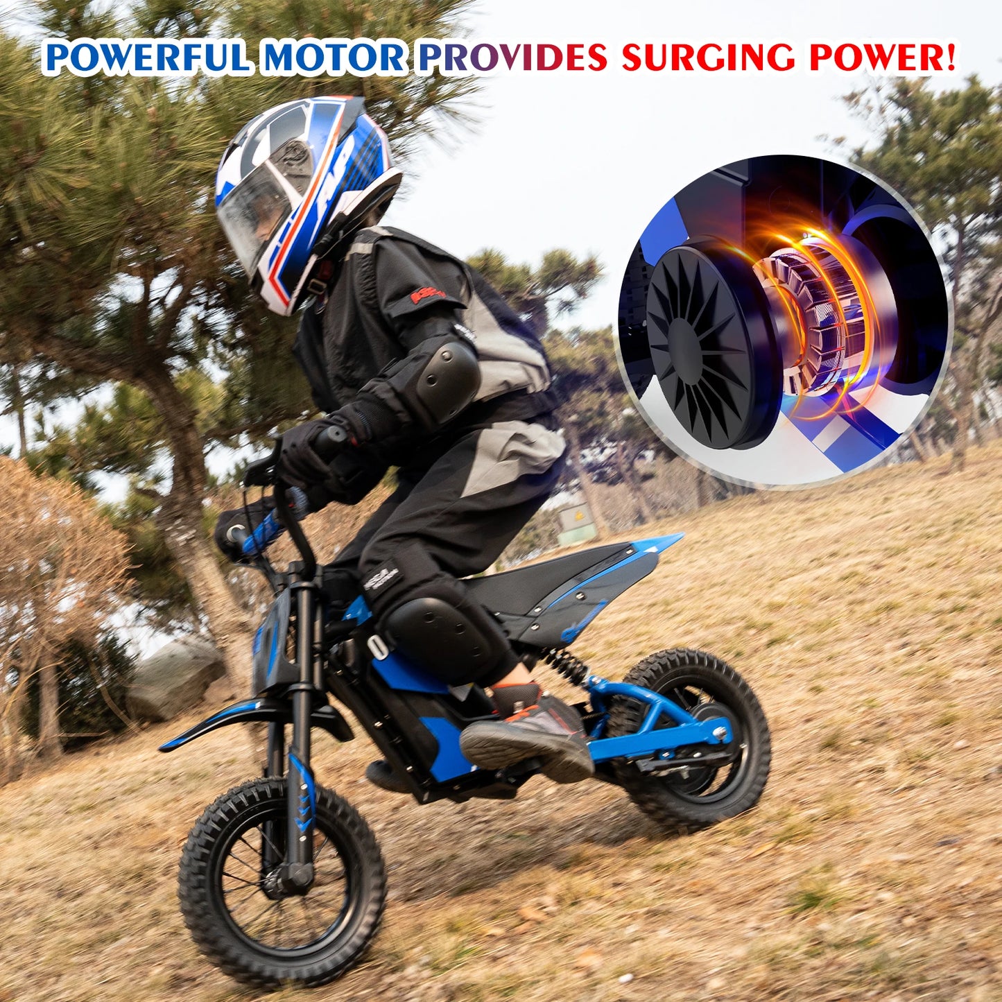 Electric Dirt Bike 300W