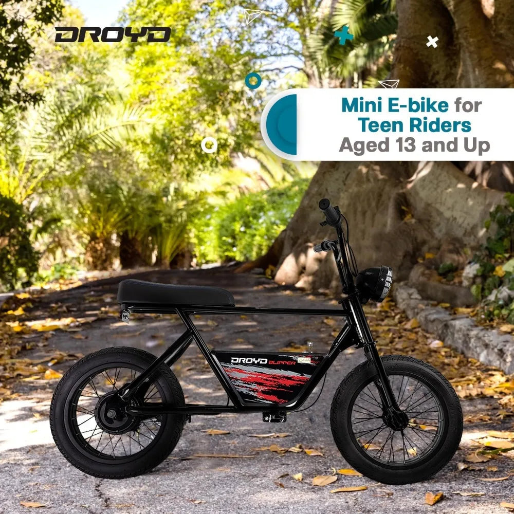 Electric Mini Bike - 250W